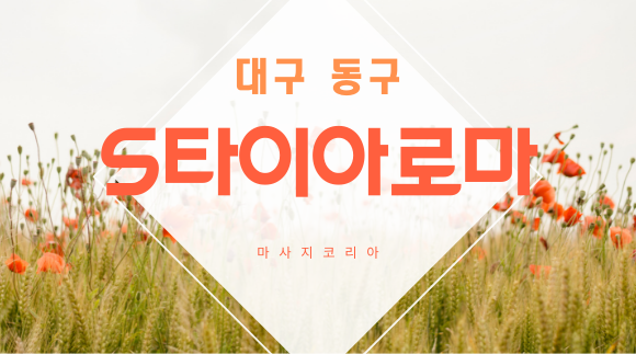 [대구 신천동]24시간 S타이아로마(한국인 관리사)